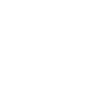 Timber Taste