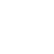 Mariannes Flammkuchen